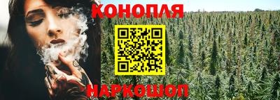 гидра Моздок