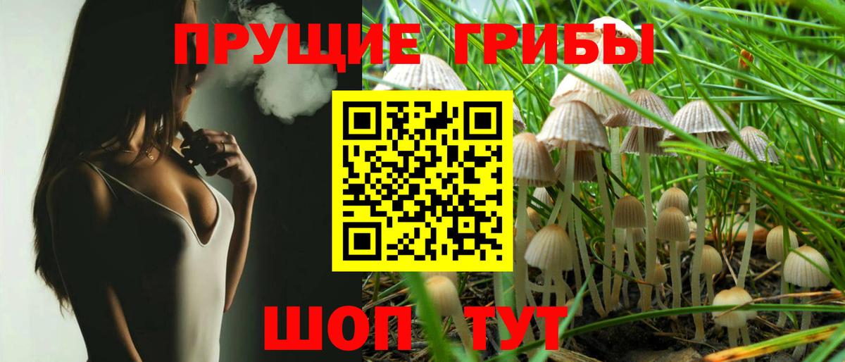 наркошоп  Вход с VPN  Чапаевск  Псилоцибиновые грибы GOLDEN TEACHER  Галлюциногенные грибы мухоморы 