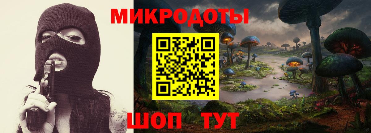 Псилоцибиновые грибы Psilocybe Чапаевск